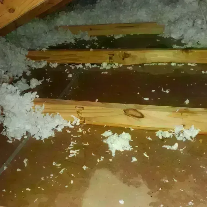 Attic Water Damage in Granite Falls, WA